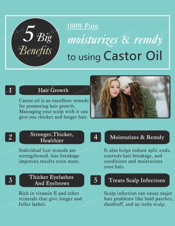 Eyebrows Eyelashes Hair Care Gentle Care Nourishing Essential Oil - Image 3