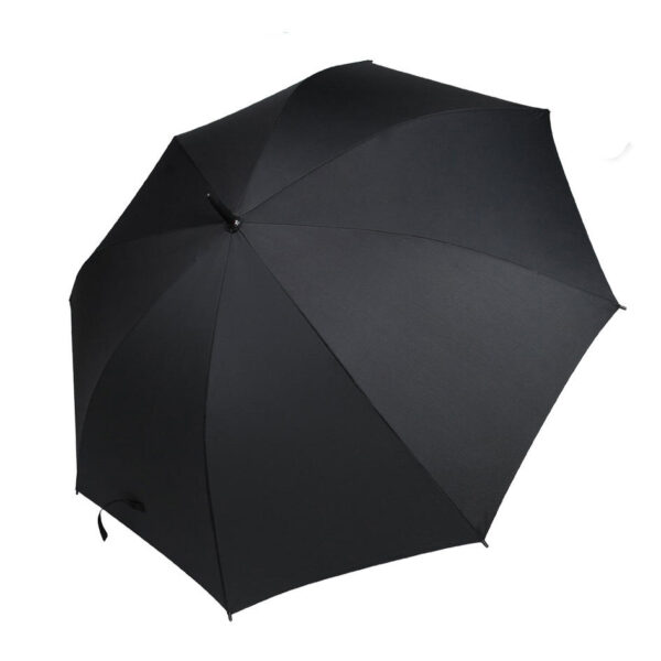 Fan Umbrella - Image 5